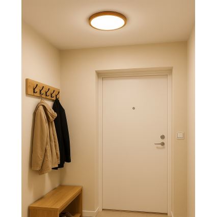 LED Stropní svítidlo LED/18W/230V 3000/4000/6500K pr. 23 cm béžová